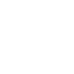 Arquivet Tortuguera Kleo - Acuaterrario Isla con Palmeras para Tortugas - Tortuguero de plástico - Tortuguero para casa y jardín - Tortugas Adultas y crías - 57 x 33 x 25 cm