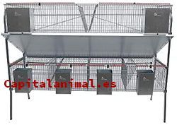 Catálogo de jaulas para conejos amazon para comprar online