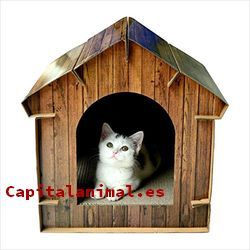 casas para gatos de madera baratos