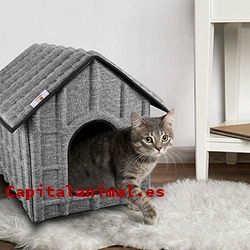 casas para gatos baratos