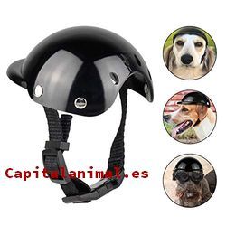 Listado de cascos para perros para comprar por internet