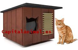 casitas para gatos baratos