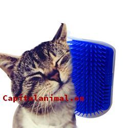 cepillos masajeador para gatos baratos