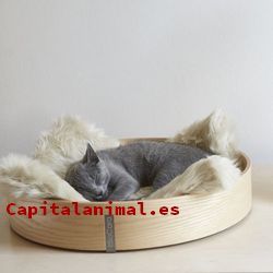 cestas para gatos baratos
