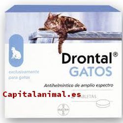 Drontales para gatos ❤️ Mejores alternativas online