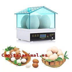 incubadoras de huevos baratos