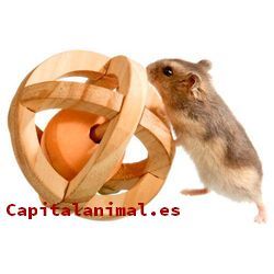 juguetes para hamster ruso baratos