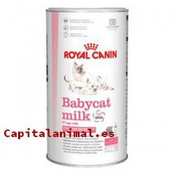 leches royal canin para gatos baratos