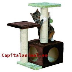 rascadores zooplus para gatos baratos