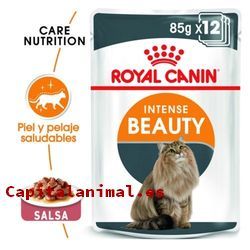 royal canin fibre response para gatos baratos
