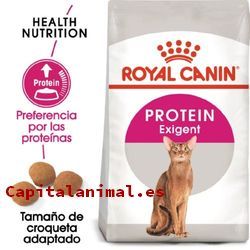 royal canin gastrointestinal para gatos baratos