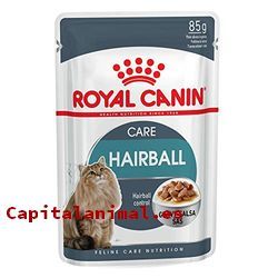 royal canin renal para gatos baratos
