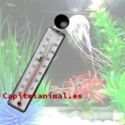 termometros para acuario baratos