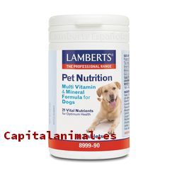 vitaminas para perros baratos